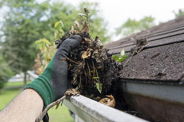 we offer both one-time gutter cleaning and regular maintenance plans